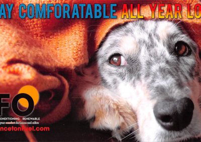 Specialty Campaigns Direct Mail Postcard